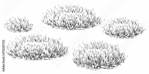 Five hand drawn clumps of grass in varying sizes and densities in black and white on a white background | editable eps vectors silhouette