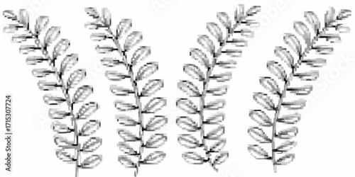 Four stems of leaves arranged symmetrically in a row with a white background in a minimalist style | editable eps vectors silhouette