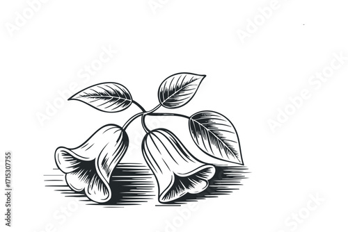 Vintage floral outline with bell shaped blooms and leaves. Vector hand drawn