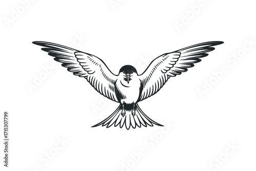 Stylized black bird in flight. Vector hand drawn
