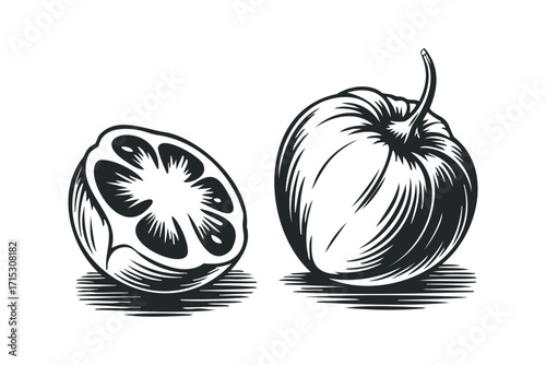 Whole and half cut citrus fruit halves on transparent. Vector hand drawn