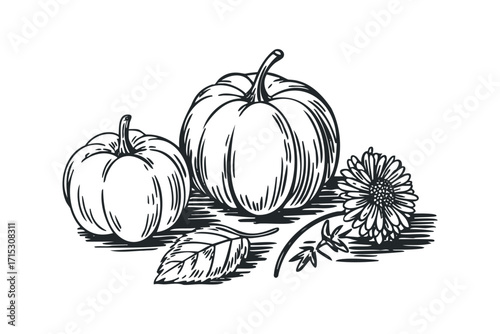 Hand drawn pumpkin and flower image. Vector hand drawn