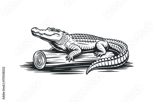 Alligator on log. Vector hand drawn