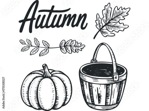 Hand-drawn autumn word with pumpkin, basket and leaves. Vector hand drawn