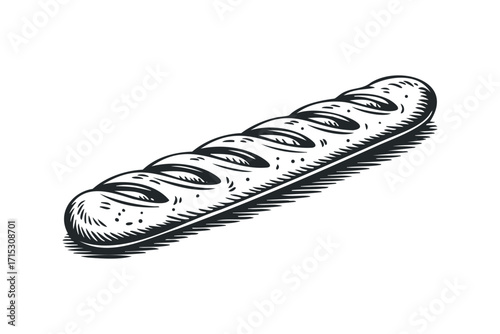 Loaf baguette drawing on transparent background. Vector hand drawn