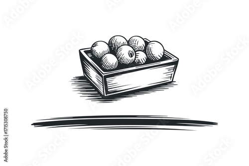 Wooden box with round fruit sketch on transparent background. Vector hand drawn