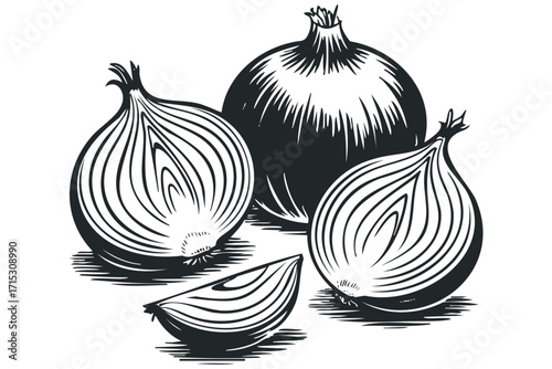 Fresh onion halves and wedge with whole onion cutouts on transparent background. Vector hand drawn