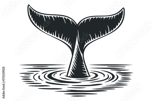 Whale tail splashing into water graphic. Vector hand drawn