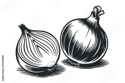Two Onion Vegetable Object On Transparent. Vector hand drawn