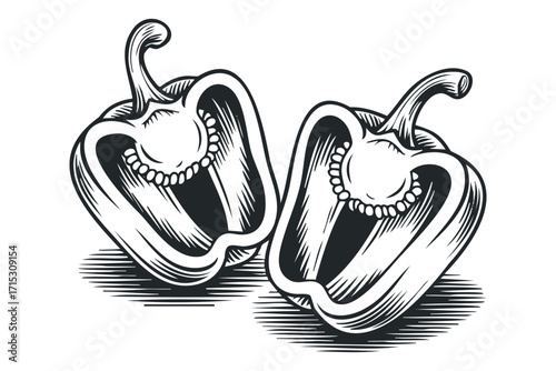 Two halves of a bell pepper with seeds displayed. Vector hand drawn