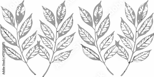 Illustration featuring two pairs of leafy branches with detailed vein patterns in grayscale tones and white | editable eps vectors silhouette