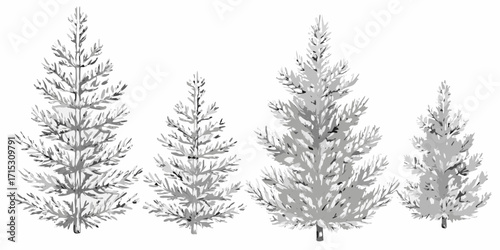 Four evergreen trees of varying sizes in grayscale watercolor style on a white background stand tall and proud | editable eps vectors silhouette