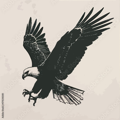 Eagle silhouette flying in the sky with spread wings vector illustration