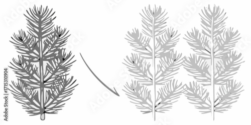 Illustration showing a single tree transforming into multiple trees with an arrow pointing towards them | editable eps vectors silhouette