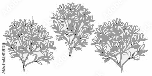 Three sketched shrubs with dense foliage in a grayscale illustration on a white background scene view | editable eps vectors silhouette