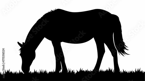 Majestic horse silhouette grazes peacefully in a meadow, evoking serenity and natural beauty