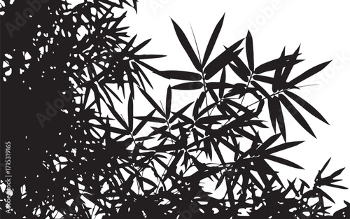 Bamboo leaves create a dark silhouette against a bright white sky, showcasing natural beauty and minimalist aesthetic in a serene scene.