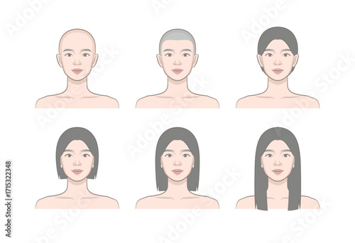 Female hair growth stages from bald to short, medium, and long hairstyle front view illustration