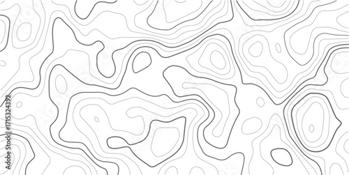 Topography background. Vector banner. Topography map background. Vector geographic contour map. Background of the topographic map. Topographic map lines, contour background. 