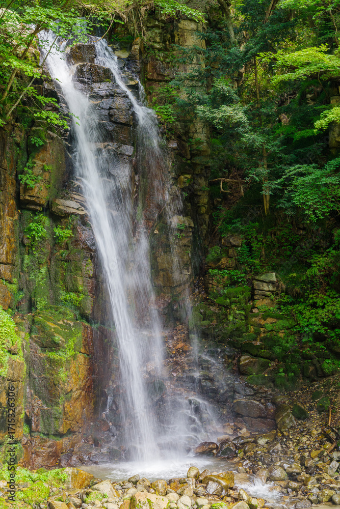 Fototapeta premium 小野の滝(長野県木曽郡上松町)