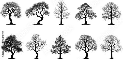 Tree silhouette vector collection, natural forest illustration, leafless and leafy trees, eco graphic design, seasonal nature pattern, woodland plant artwork