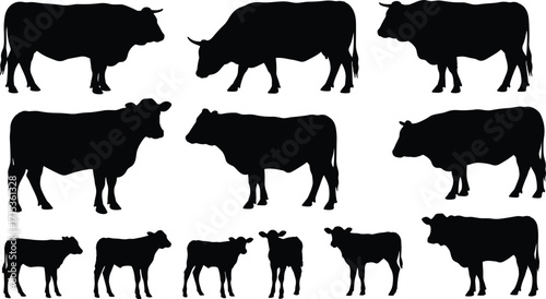 Cow silhouette vector illustration set, farm animal cattle shadow graphic, bull and calf black silhouette design, livestock agriculture artwork