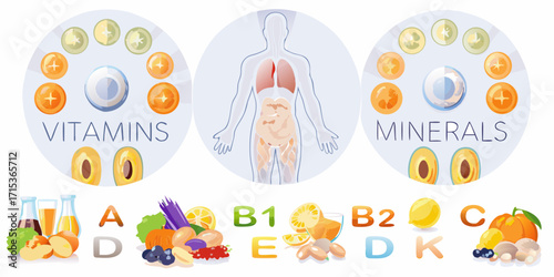 Illustration of vitamins and minerals essential for human health and bodily functions