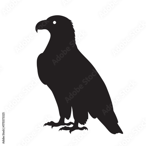 Silhouette of a crow perched on a branch with detailed feathers and beak in black vector illustration of wild birds