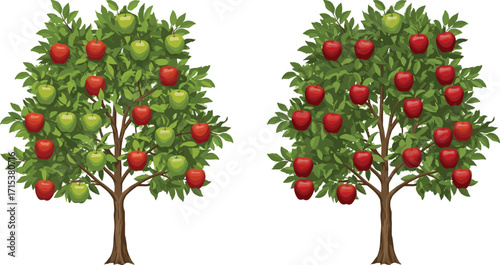 Two apple trees with red and green apples, natural fruit orchard, healthy harvest, organic farming, agriculture growth, fresh seasonal produce