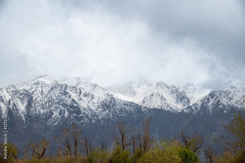 Obraz premium Majestic snow-capped Himalayan hill under a serene winter sky, showcasing natural beauty, mountain landscape, wilderness, and pristine travel destination for nature and adventure lovers.