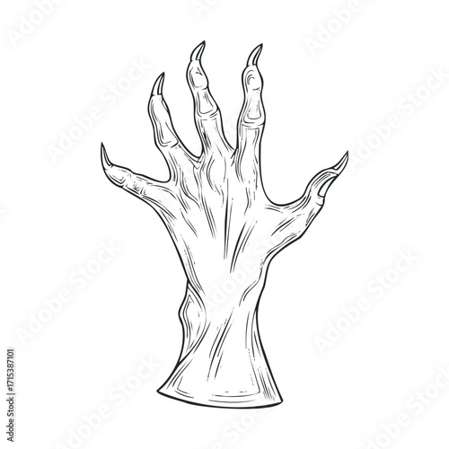 Creepy skeletal hand illustration perfect for Halloween designs. Vector hand drawn illustration


