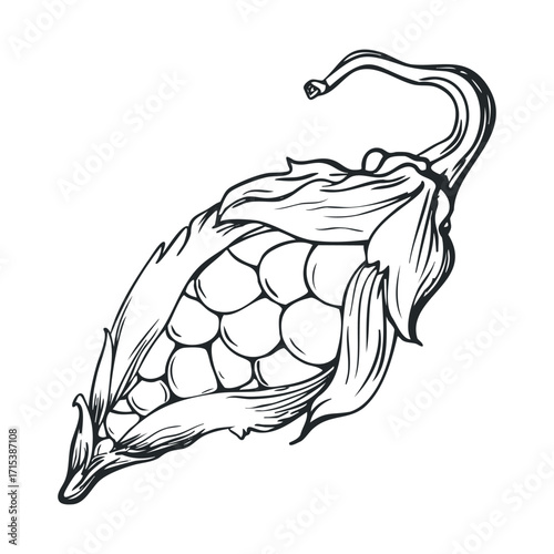 Detailed design of a hop cone for craft beer branding and decoration. Vector hand drawn illustration

