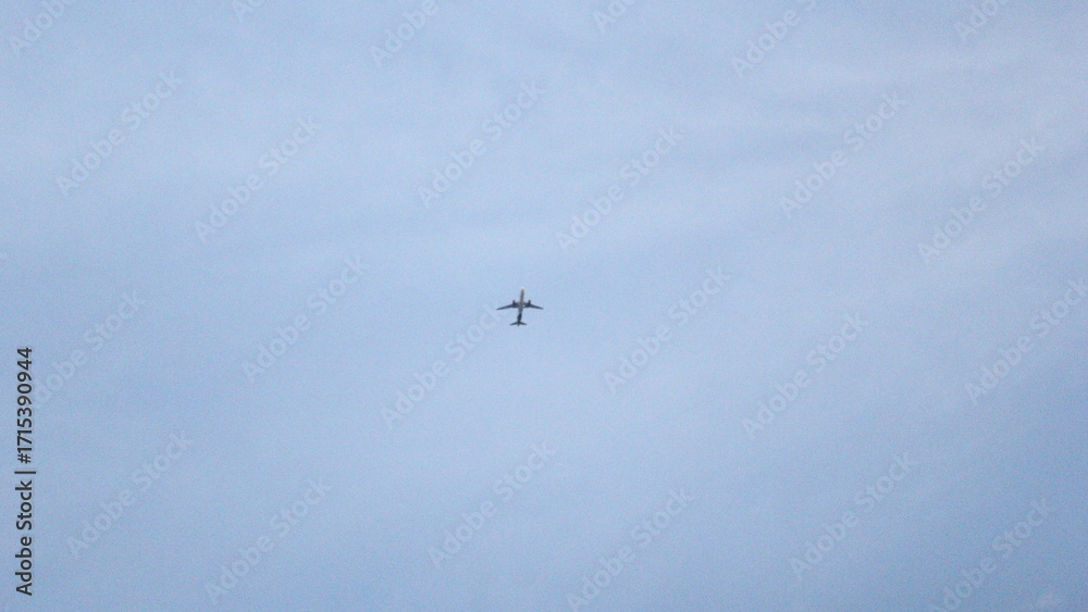 Fototapeta premium airplane in flight