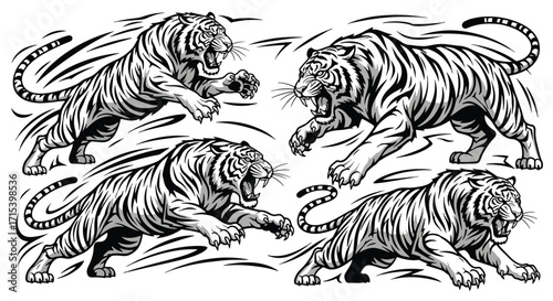 Vector illustration of tigers in dynamic fighting poses, wild animal sketches symbolizing power, strength, and wildlife expression.