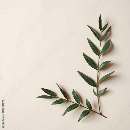 Minimalistic botanical branch with fresh green leaves on neutral beige background, natural plant composition for organic design, wellness, eco concept and aesthetic decoration