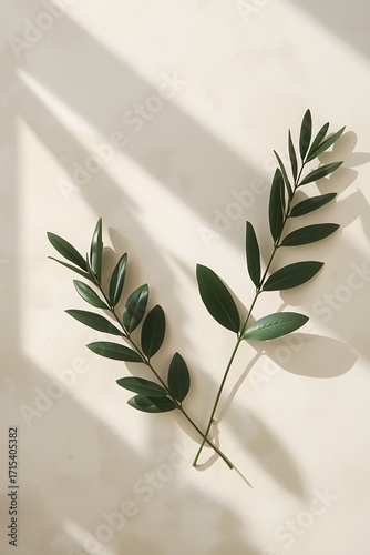 Minimalistic botanical branch with fresh green leaves on neutral beige background, natural plant composition for organic design, wellness, eco concept and aesthetic decoration