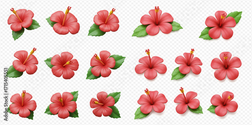 Collection of fifteen digitally rendered red hibiscus flowers with green leaves on a transparent background.