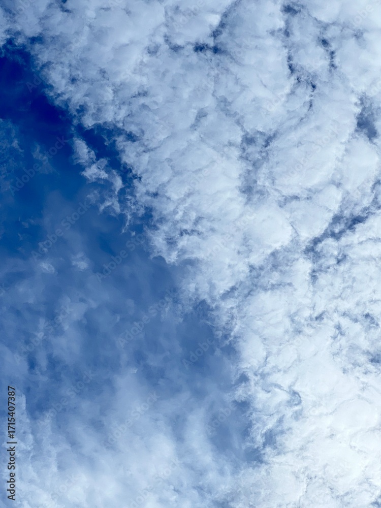 Fototapeta premium clouds in the sky 