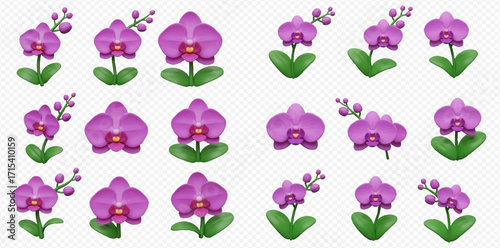 Collection of stylized purple orchid flowers with green leaves in various arrangements and orientations.