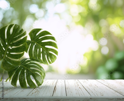 Lush green leaves on weathered white wood, blurred foliage backdrop