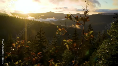 Majestic mountain vista bathed in golden sunrise hues, showcasing a dense forest at dawn.