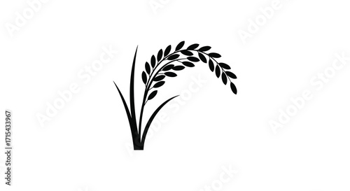 A simple black and white illustration of a flourishing rice plant