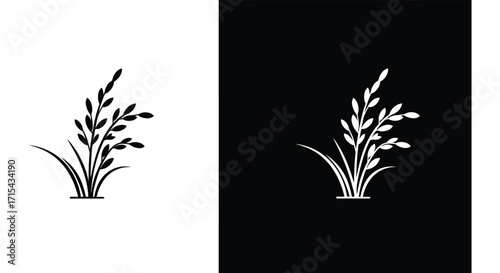 A striking black and white illustration of a leafy plant stem