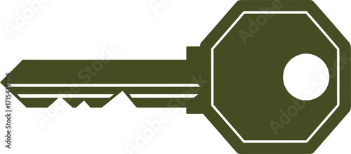 Modern octagonal key graphic symbolizing security access solution and unlocking business opportunity concepts vector