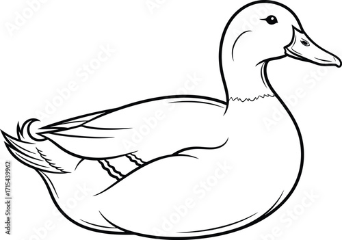 Vector illustration of a duck bird animal line drawing simple farm animal art vector