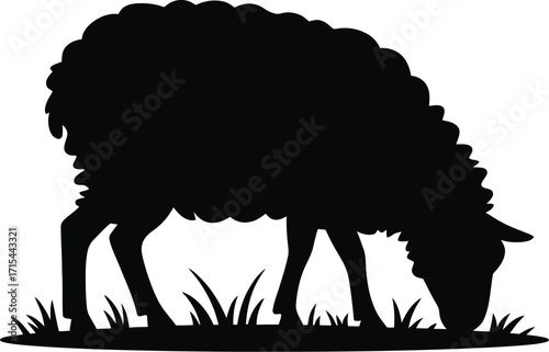 Black sheep grazing on grass vector silhouette
