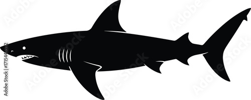 Black shark silhouette swimming vector marine life