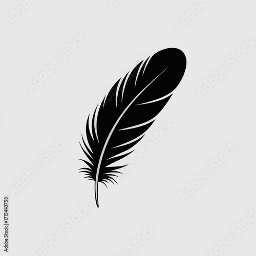 feather on white background