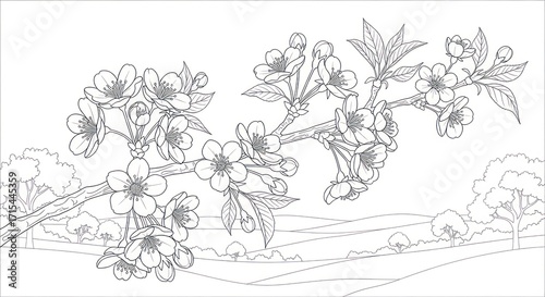 Elegant cherry blossom branch illustration