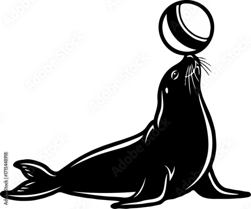 Seal balancing a ball on its nose